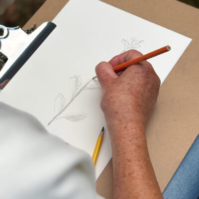 workshop botanisch tekenen_kim bax