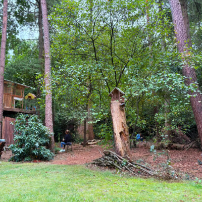 workshop botanisch tekenen son kim bax tuin
